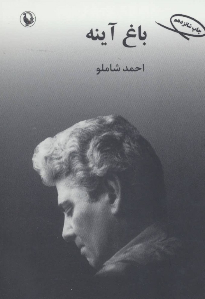 تصویر  باغ آینه (رقعی-شمیز)